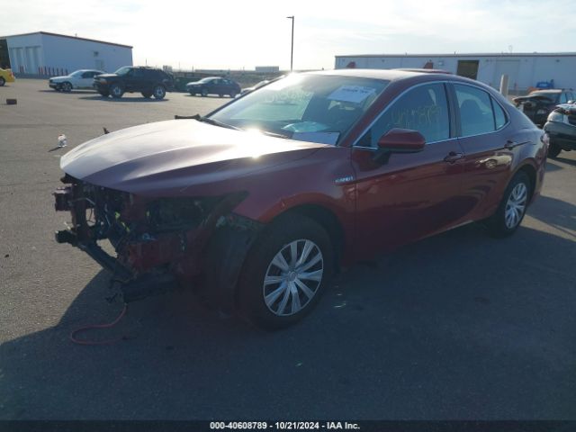 4T1C31AK1LU522381 Toyota Camry Le Hybrid