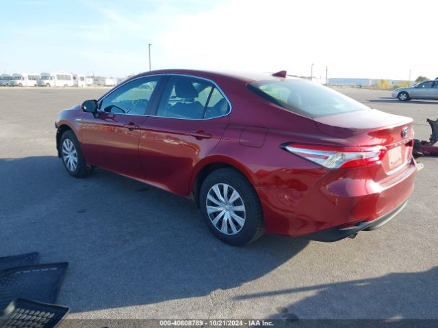 4T1C31AK1LU522381 Toyota Camry Le Hybrid