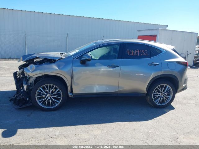 2T2HKCEZ1PC013650 Lexus Nx 350h Luxury