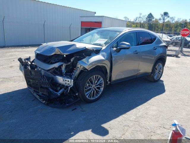 2T2HKCEZ1PC013650 Lexus Nx 350h Luxury