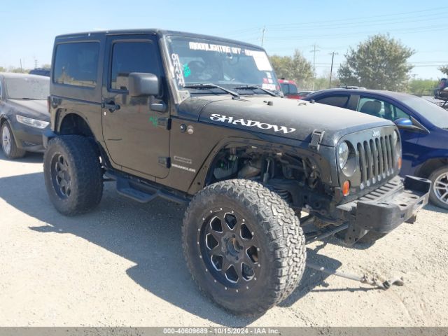 2013 JEEP WRANGLER 1C4AJWAG1DL701845