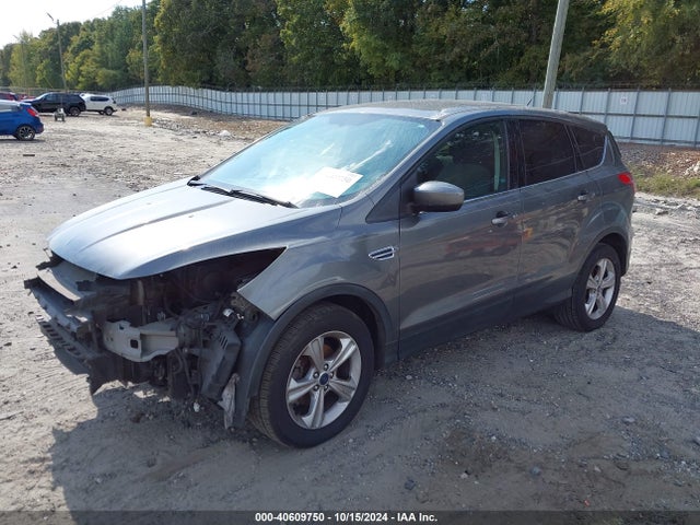 Ford ESCAPE SE 2014 1FMCU0GX4EUE49780 Image 2
