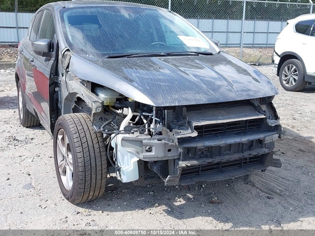 Ford ESCAPE SE 2014 1FMCU0GX4EUE49780 Image 6