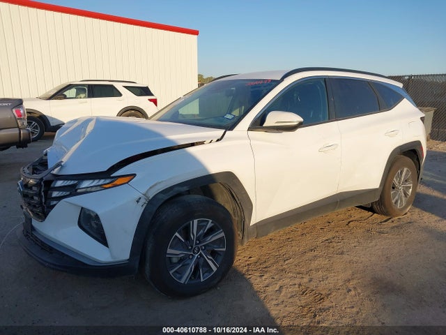KM8JBCA14PU129560 Hyundai Tucson Hybrid Blue