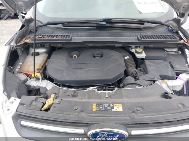 Ford ESCAPE SE 2016 1FMCU0G91GUB04162 Image 10