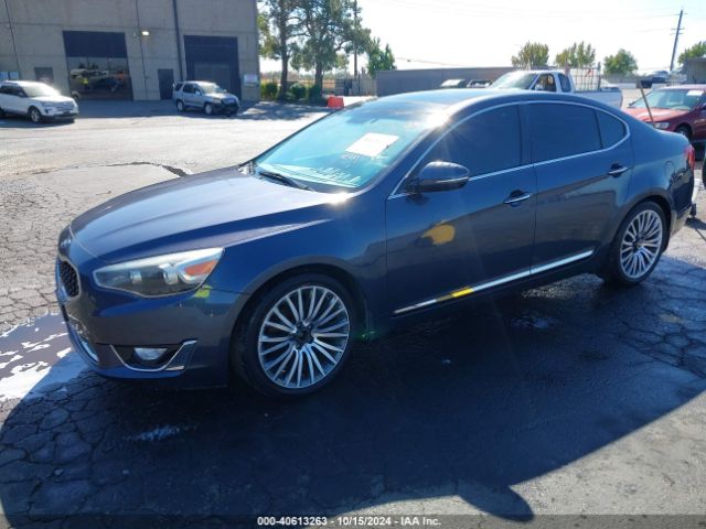 KNALN4D70E5134429 KIA Cadenza Premium