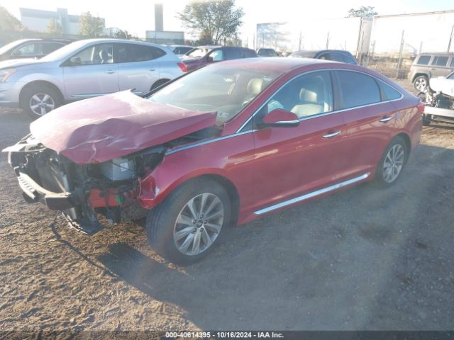 5NPE34AF7HH562211 Hyundai Sonata Sport