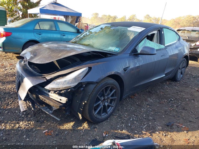 2023 TESLA MODEL 3 5YJ3E1EA7PF458006 Photo 1