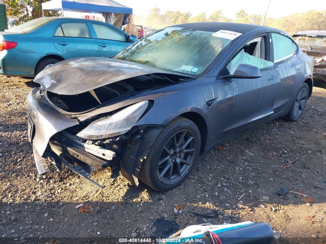 2023 TESLA MODEL 3 5YJ3E1EA7PF458006 Photo 5