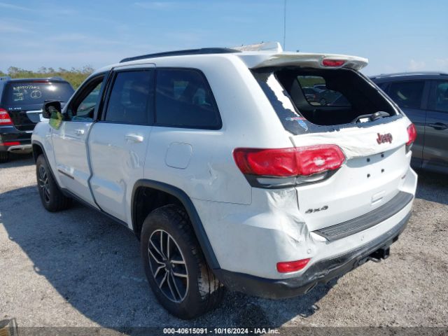 1C4RJFLG5LC272451 Jeep Grand Cherokee Trailhawk 4x4