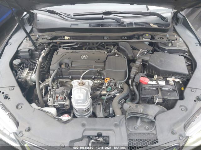 19UUB1F39FA024370 Acura TLX