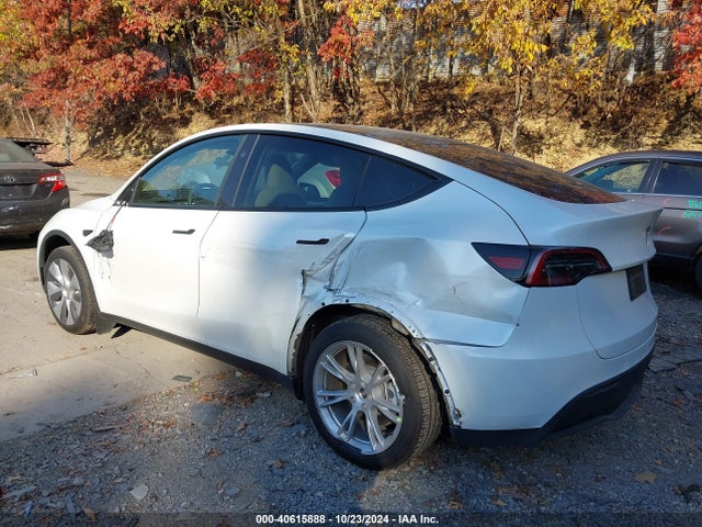 2023 TESLA MODEL Y 7SAYGDEE5PA192859 Photo 2