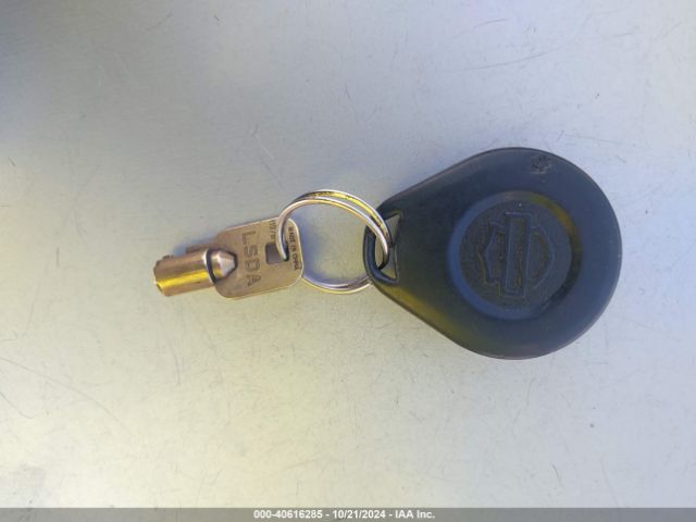 2008 HARLEY-DAVIDSON FXSTB 1HD1JA5128Y039029 Photo 10