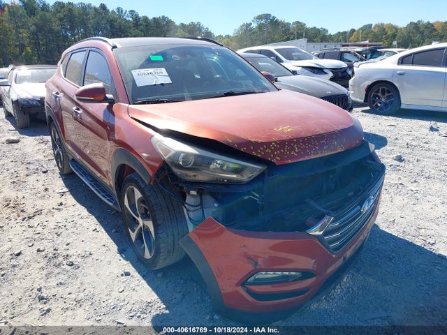 Hyundai Tucson Limited 2016 KM8J33A21GU036890 Image 13