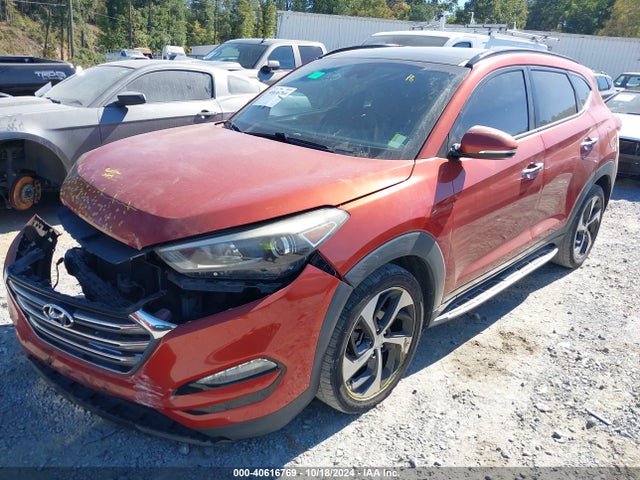 Hyundai Tucson Limited 2016 KM8J33A21GU036890 Image 14