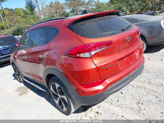 Hyundai Tucson Limited 2016 KM8J33A21GU036890 Image 3
