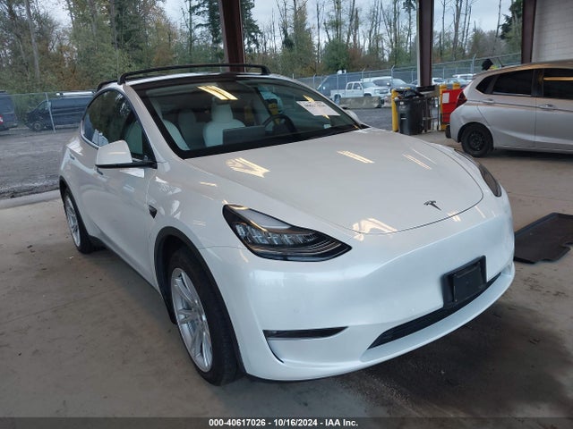 2021 TESLA MODEL Y 5YJYGDEE3MF104161 Photo 0