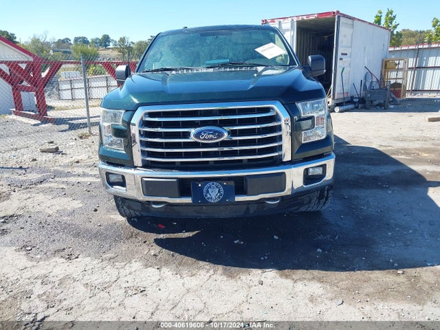 Ford F-150 Xlt 2015 1FTEW1EG1FKE04163 Image 13