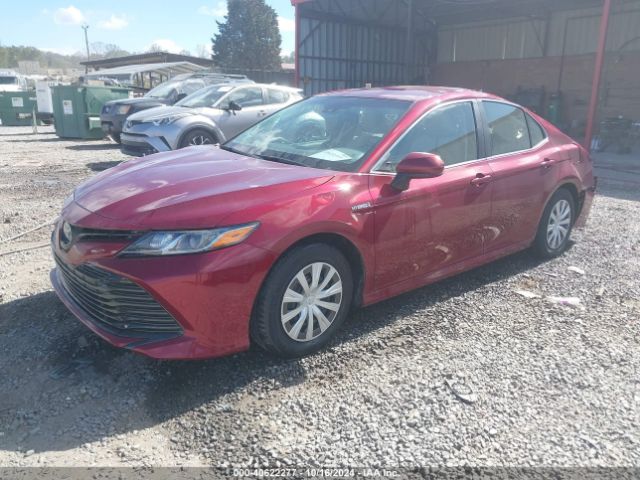 4T1B31HK9JU503866 Toyota Camry Hybrid Le