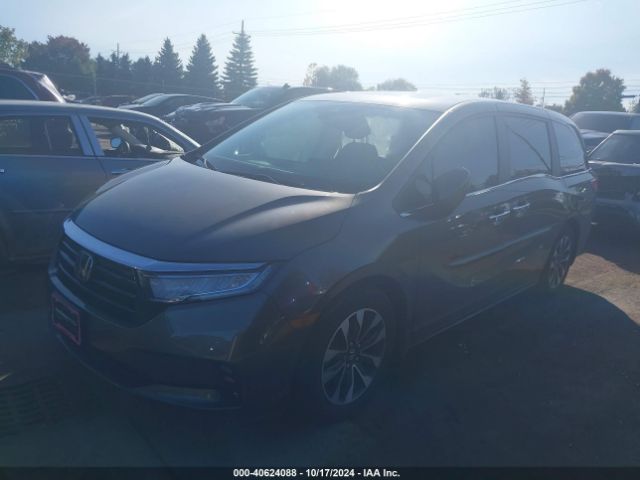 5FNRL6H76MB020358 Honda Odyssey Ex-l