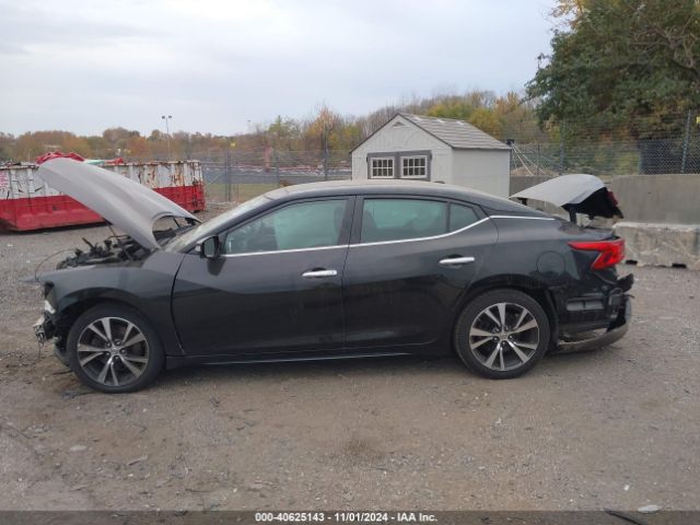 1N4AA6AP1HC375430 Nissan Maxima 3.5 Platinum