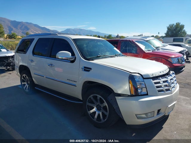 2007 CADILLAC ESCALADE 1GYEC63837R427352 Photo 0