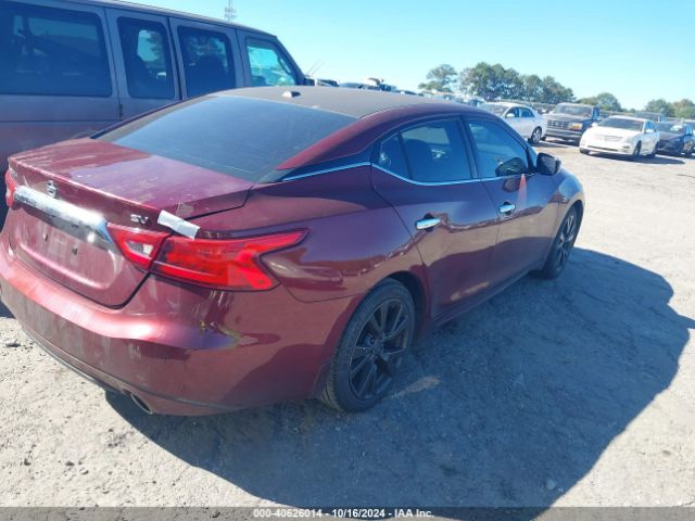 1N4AA6AP0GC389866 Nissan Maxima 3.5 Sv