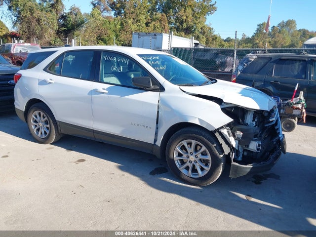 Chevrolet EQUINOX LS 2019 3GNAXSEV8KS532695 Image 1