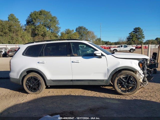 KIA Telluride Ex X-line 2024 5XYP3DGC4RG469421 Image 14