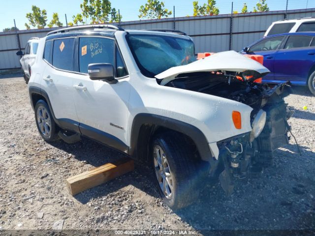2019 JEEP RENEGADE ZACNJBD12KPJ95871
