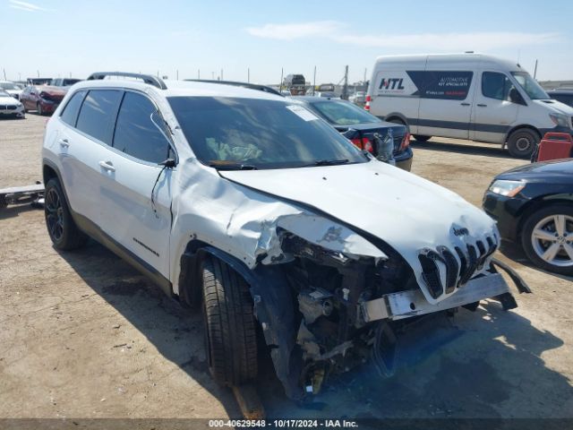 1C4PJLDB3HW526219 auction archive image