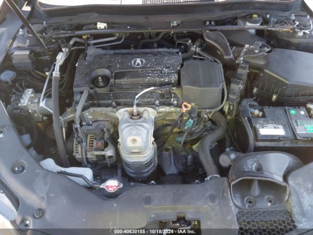 19UUB1F36FA006375 Acura TLX