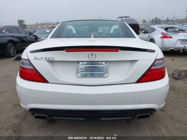 WDDPK4HA1FF103873 Mercedes-Benz SLK 250