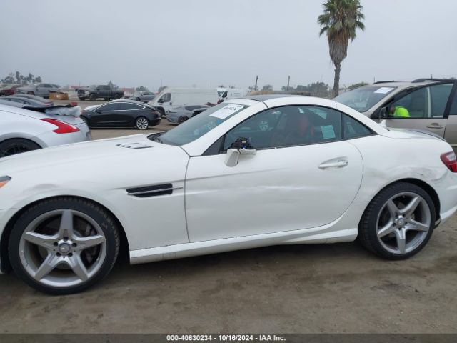 WDDPK4HA1FF103873 Mercedes-Benz SLK 250