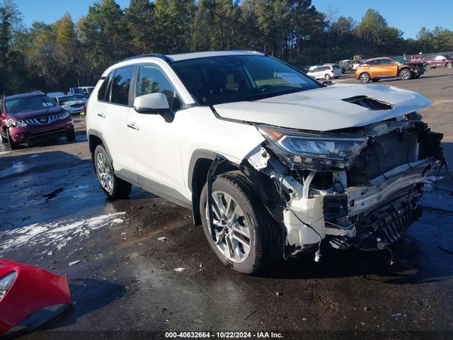 Toyota Rav4 Limited 2019 JTMN1RFV8KD010961 Image 1