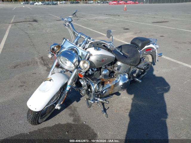 2009 HARLEY-DAVIDSON FLSTN 1HD1JD5189Y041435 Photo 1