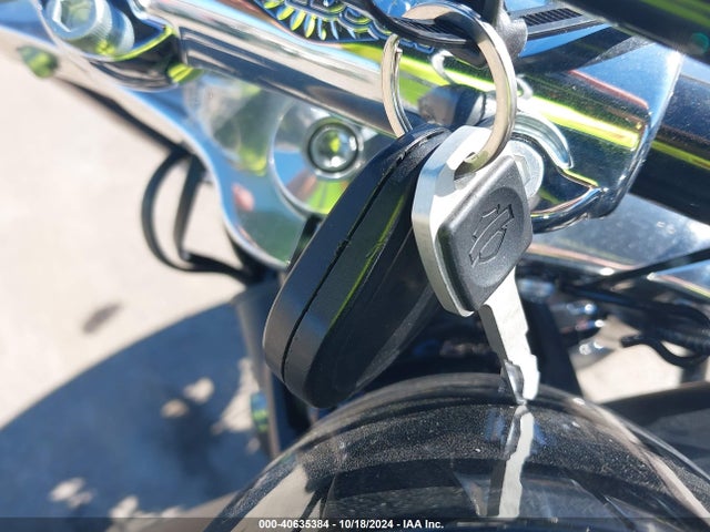 2020 HARLEY-DAVIDSON FLSL 1HD1YDJ13LB067193 Photo 10