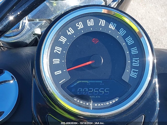 2020 HARLEY-DAVIDSON FLSL 1HD1YDJ13LB067193 Photo 6