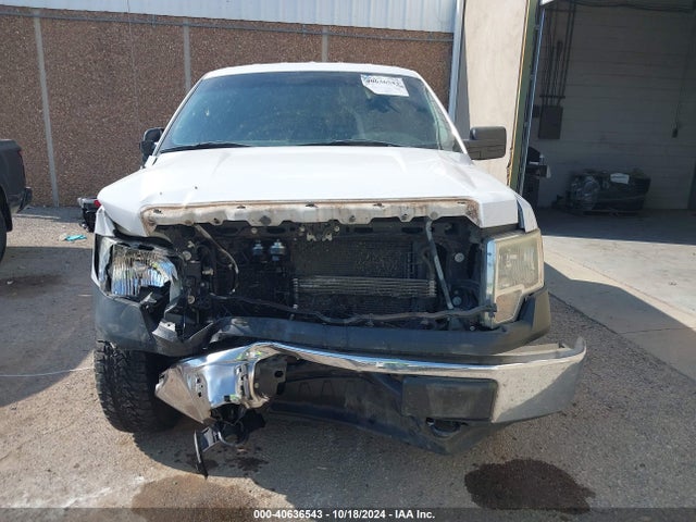 Ford F-150 Xl 2014 1FTFW1EF6EKF73735 Image 13