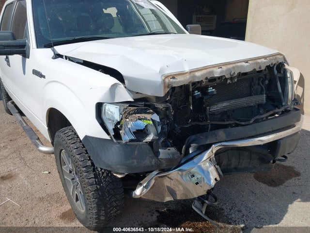 Ford F-150 Xl 2014 1FTFW1EF6EKF73735 Image 6
