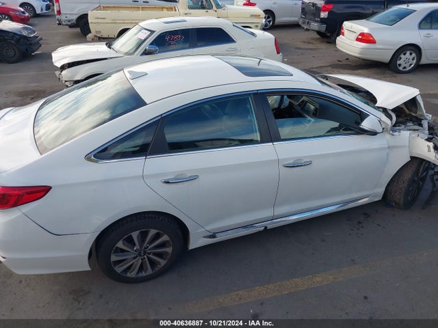 Hyundai Sonata Sport 2016 5NPE34AF3GH436085 Image 14