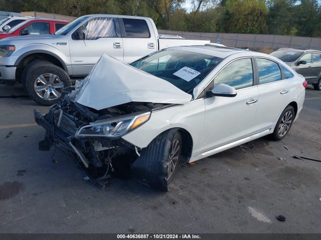 Hyundai Sonata Sport 2016 5NPE34AF3GH436085 Image 2