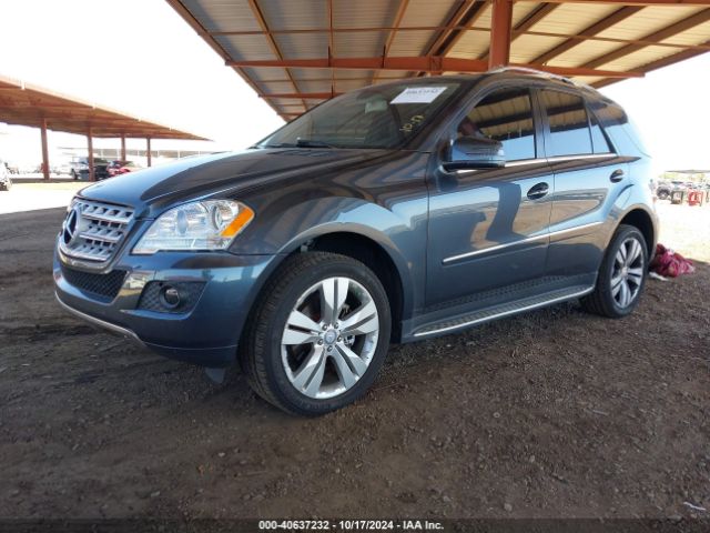 2011 MERCEDES-BENZ M-CLASS 4JGBB5GB4BA673812 Photo 1