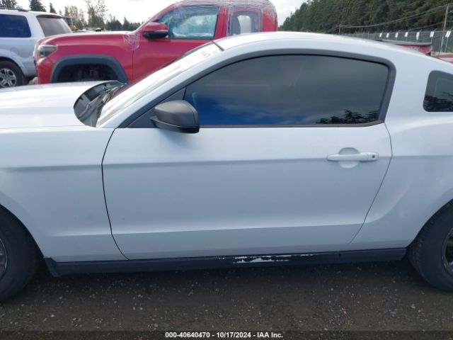 1ZVBP8AM2E5239612 Ford Mustang V6