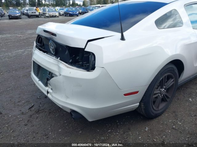 1ZVBP8AM2E5239612 Ford Mustang V6