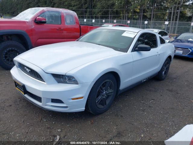 1ZVBP8AM2E5239612 Ford Mustang V6