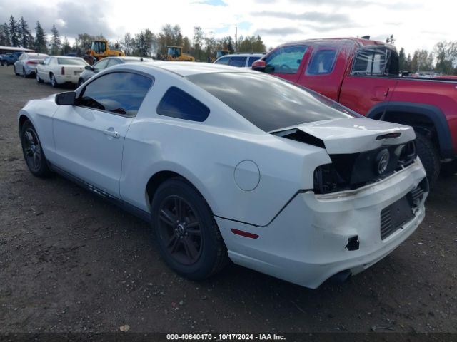 1ZVBP8AM2E5239612 Ford Mustang V6