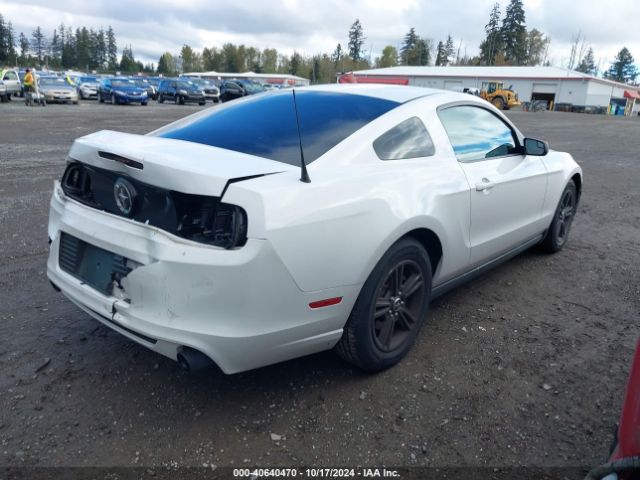 1ZVBP8AM2E5239612 Ford Mustang V6