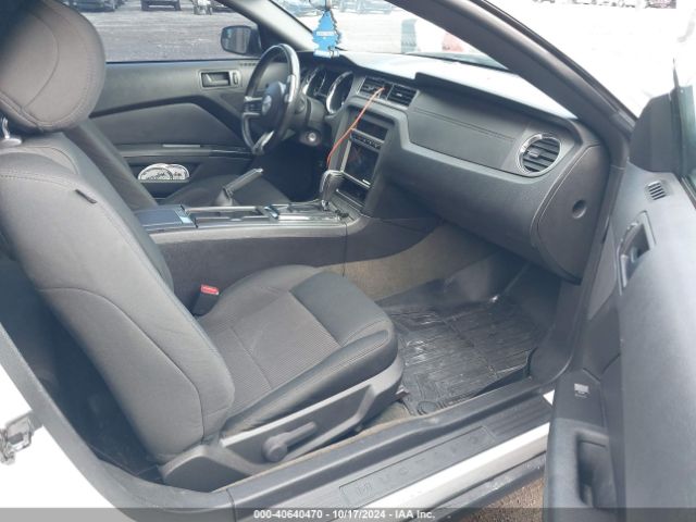 1ZVBP8AM2E5239612 Ford Mustang V6