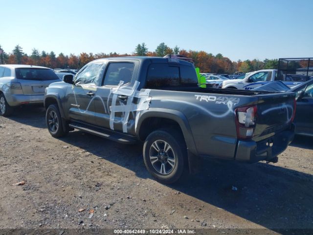 3TMCZ5AN7KM275472 Toyota Tacoma Trd Sport